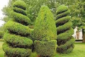 今年会 万叶绿化工程有限公司