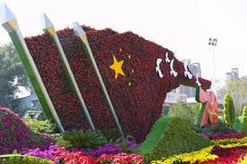 哪些绿化苗木适合在海边地区种植？